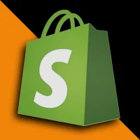 best digital marketer in Thrissur shopify