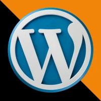 best digital marketer in Thrissur wordpress